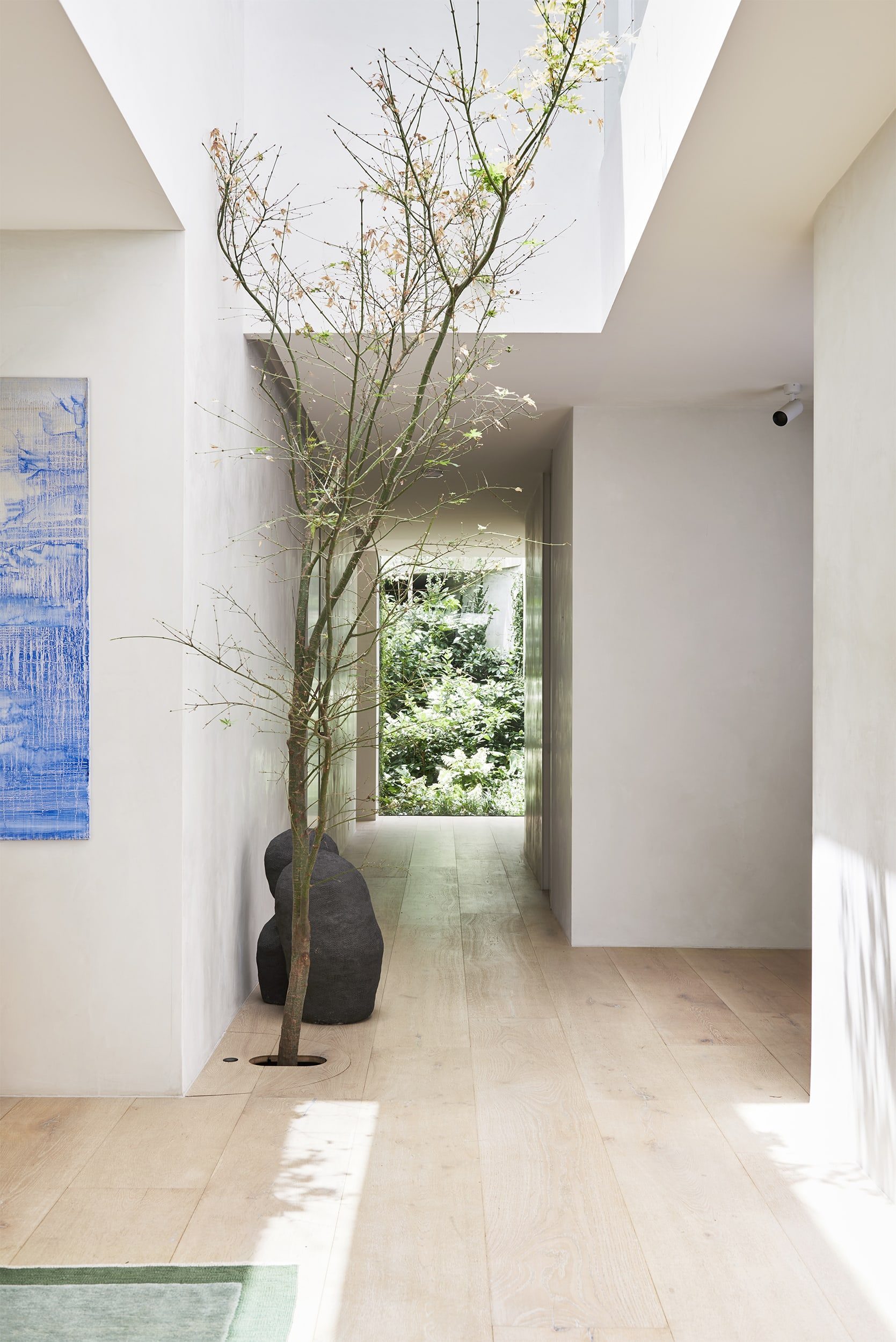 Susi Leeton River House